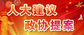 “人大建議、政協提案”公開